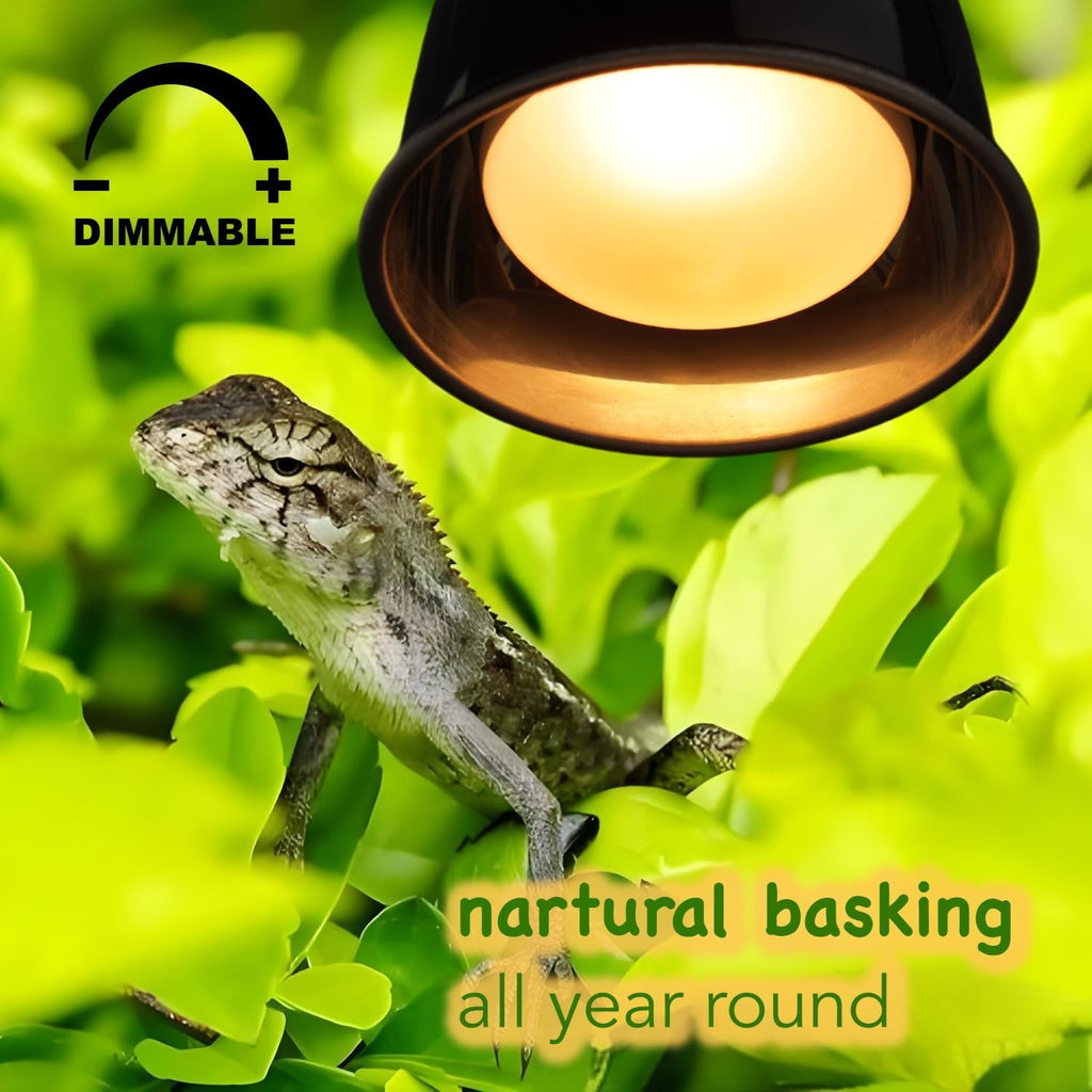 MRREPTILE Reptile Heat Lamp Bulbs, 2-Pack 75W Intense Basking Bulbs, Reptile Basking Lamps, Bearded Dragon Basking Light, Simulated Natural Basking for Reptiles Snakes Lizards Tortoise Heater