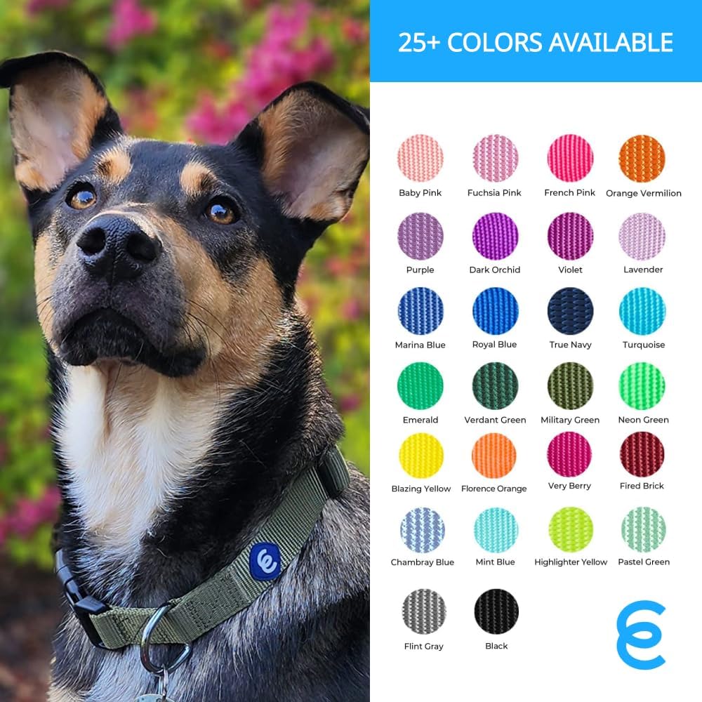 Blueberry Pet Essentials Medium Dog Collar in Military Green | Adjustable & Eco-Friendly Durable Nylon Strap | Classic Collar for Medium Dogs, Boy & Girl Pets
