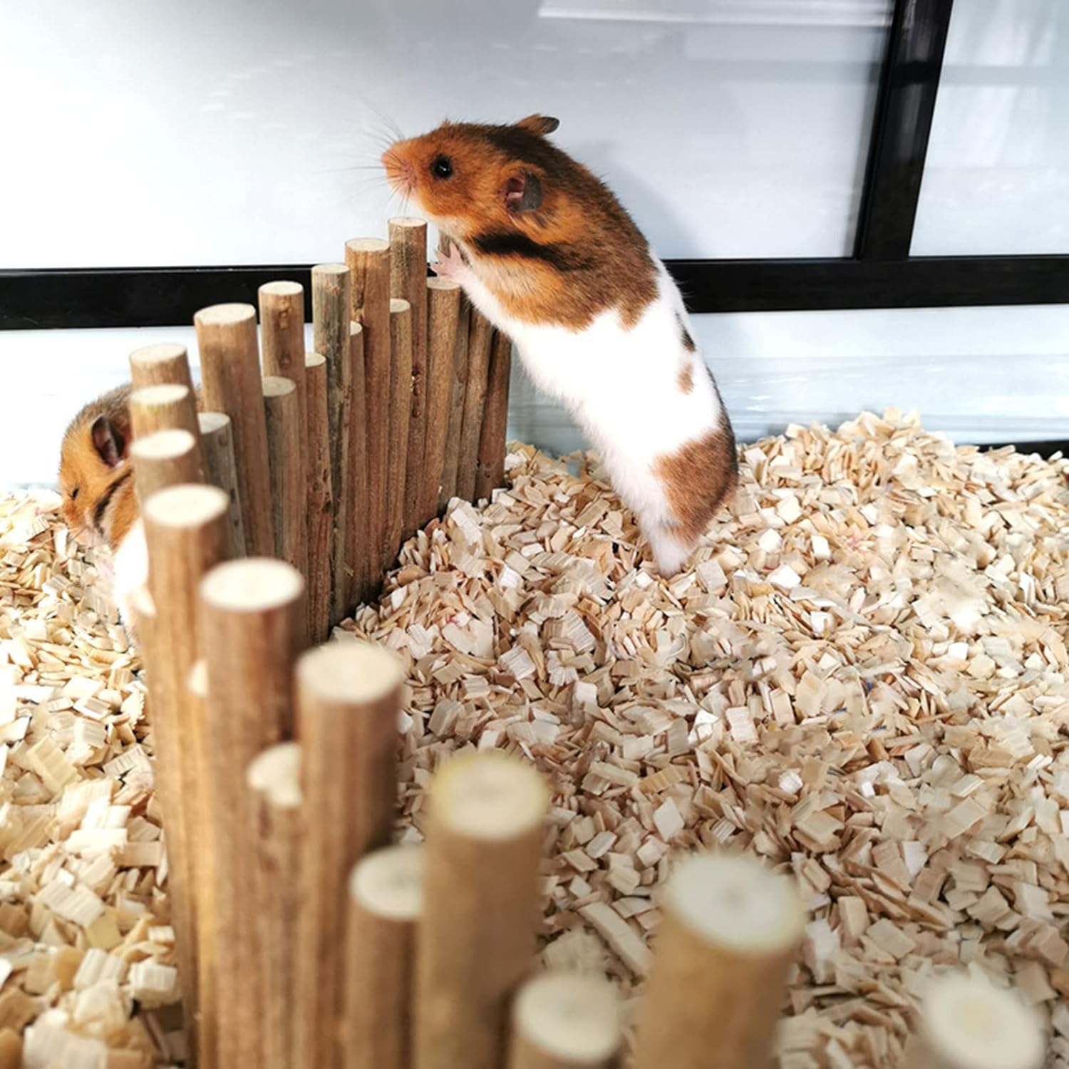 Ejoyous Hamster Wooden Bridge, Wood Ladder Hamster Fence Hideout Cage Bedding Climbing Toys for Syrian Hamsters Gerbil Small Animals (40CM Fence)