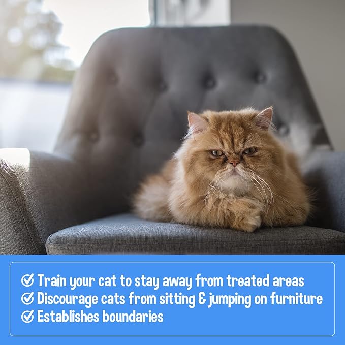 Bodhi Dog 3-in-1 Cat & Kitten Training Aid - Image 4