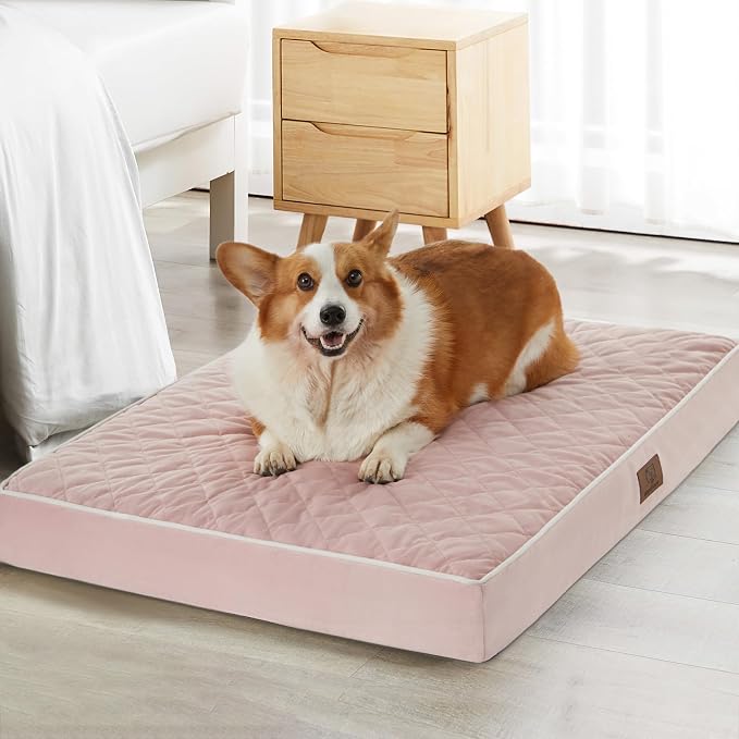 WNPETHOME Orthopedic Dog Bed Medium Size Dog, Waterproof Medium Dogs Bed by WNPETHOMEPETSHOME