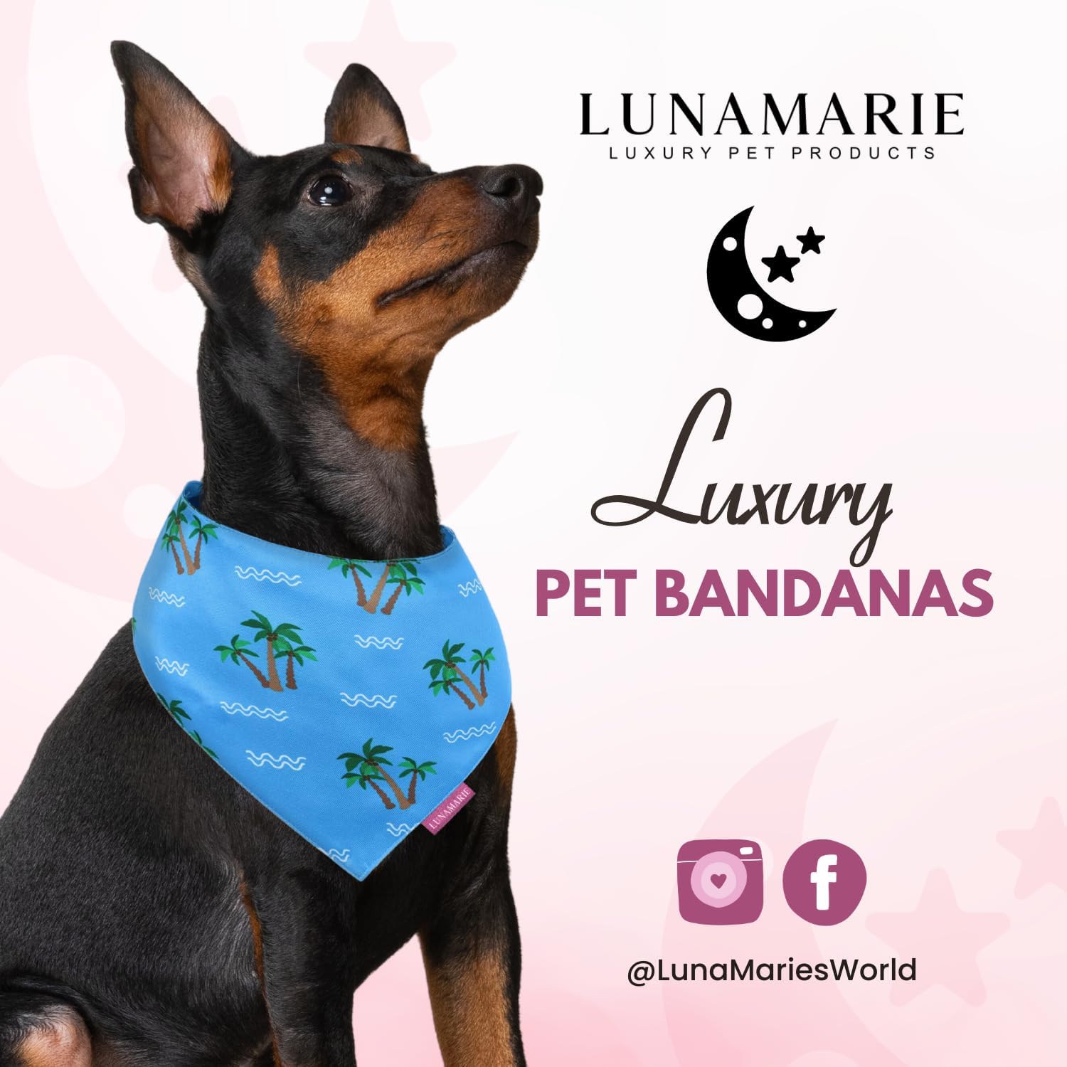 LunaMarie - Luxury Pet Birthday Bandanas -Premium & Silky Poly Fabric | 100% Handmade | Custom Shape Dual Layered (Playa Azul, Large)