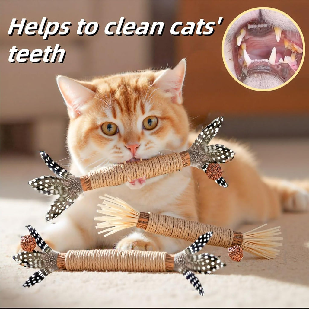 Cat Toys 3Pack Silvervine Chew Stick Kitten Treat Catnip Toy Kitty Natural Stuff Catnip for Cleaning Teeth Indoor Dental Snack Interactive