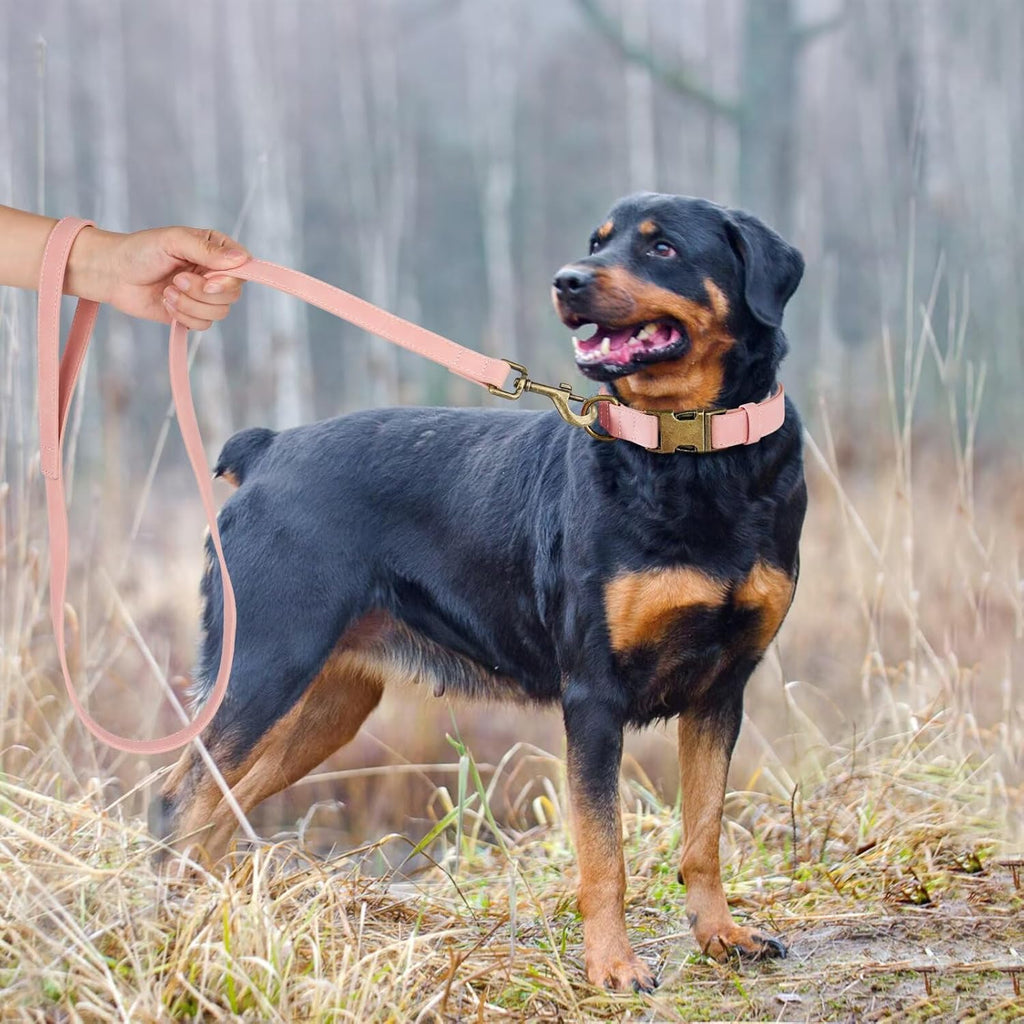 Didog Soft PU Leather Dog Collar, Stylish Quick Released Dog Collars for Large Dogs, Easy Clean Adjustable Pet Collar for Daily Walking, Pink, XL Fit 17-27" Neck