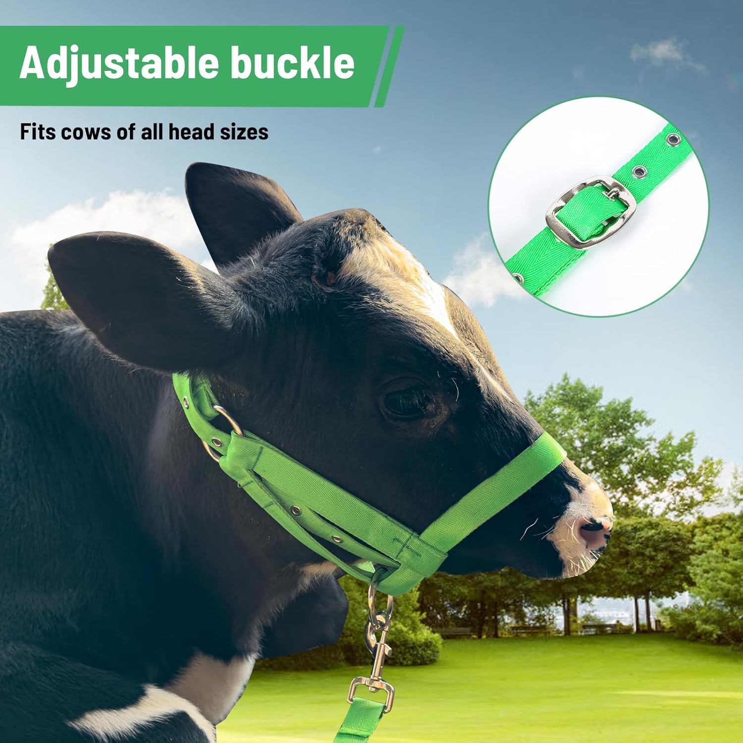 XUANNIAO Easily Adjustable Figure 8 Cow Halter, Double-Ply Premium Livestock Cattle Halters, Colorful Cow Utility Calf Halter with Leading Rope for Miniature Horse Donkey Goat Foal (Medium, Black)