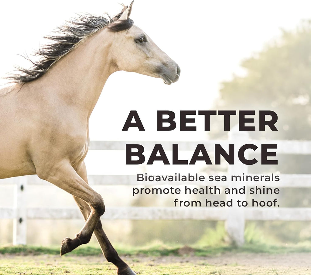 Daily Red Crushed Loose Minerals | Mineral Salt + Electrolyte Supplement for Horses (25LB Refill Bag)