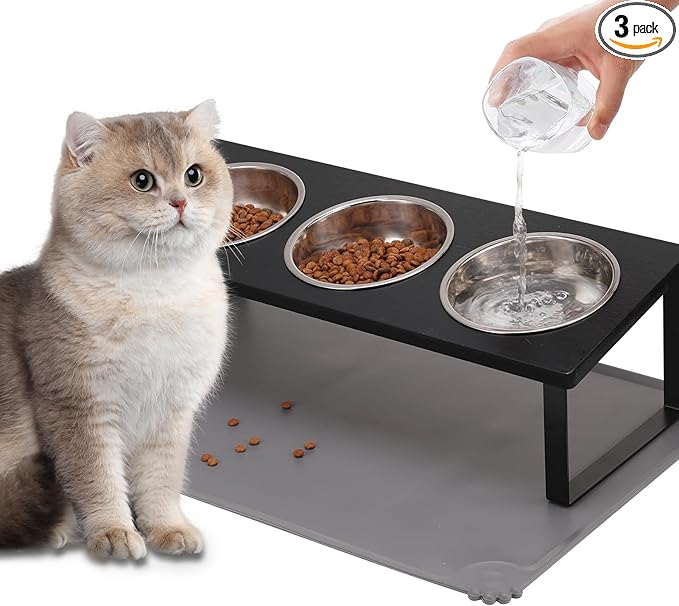 Upgraded Elevated Cat Bowls by Summark