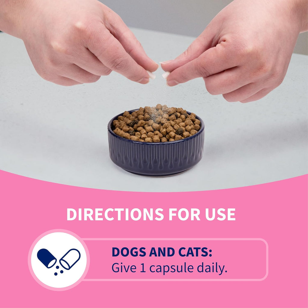 Nutramax Proviable Probiotics for Dogs and Cats, Daily Digestive Health Supplement with Multiple Strains of Bacteria, Cat and Dog Probiotics Plus Prebiotics, 80 Capsules