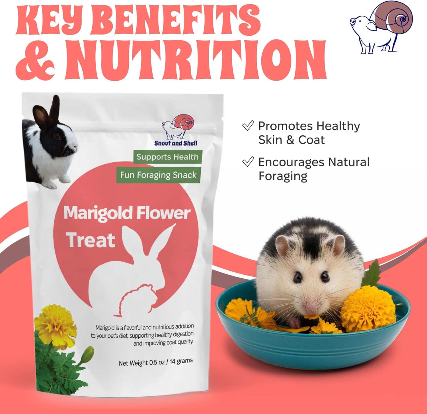Snout and Shell Floral Favorites 4-in-1 Natural Treats for Small Pets – Pea Flakes, Marigold, Rose Petals & Hibiscus – Healthy Snacks for Rabbits, Guinea Pigs, Chinchillas & More