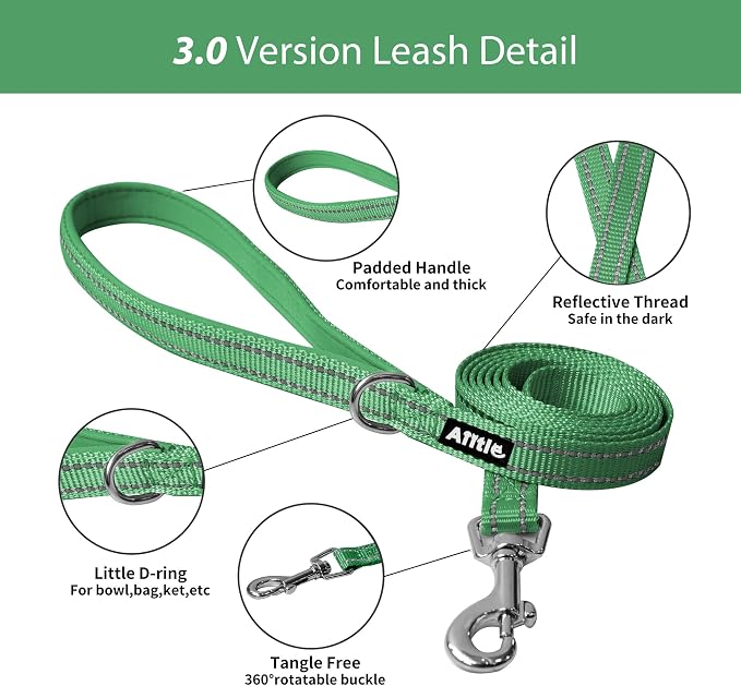AIITLE Step in Dog Harness and Leash Set - Image 8