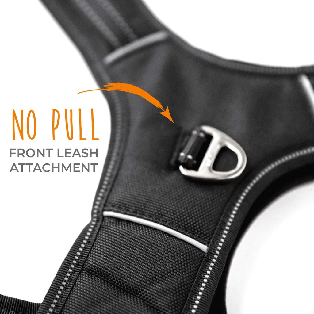 Mighty Paw Sport Harness 2.0 - Padded Canine Accessory - Adjustable Neck and Chest Straps - Enhanced Visibility with Reflective Stitching - Dog Padded Harness with Handle - Large - Black
