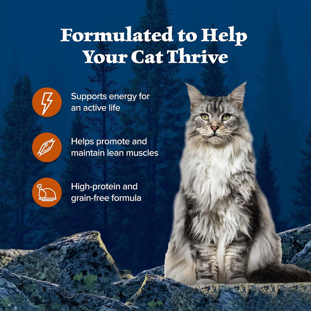 Blue Buffalo Wilderness Wild Delights Meaty Morsels Wet Cat Food, High-Protein & Grain-Free, Made with Natural Ingredients, Chicken & Turkey Recipe in Tasty Gravy, 3-oz. Cans (24 Count)