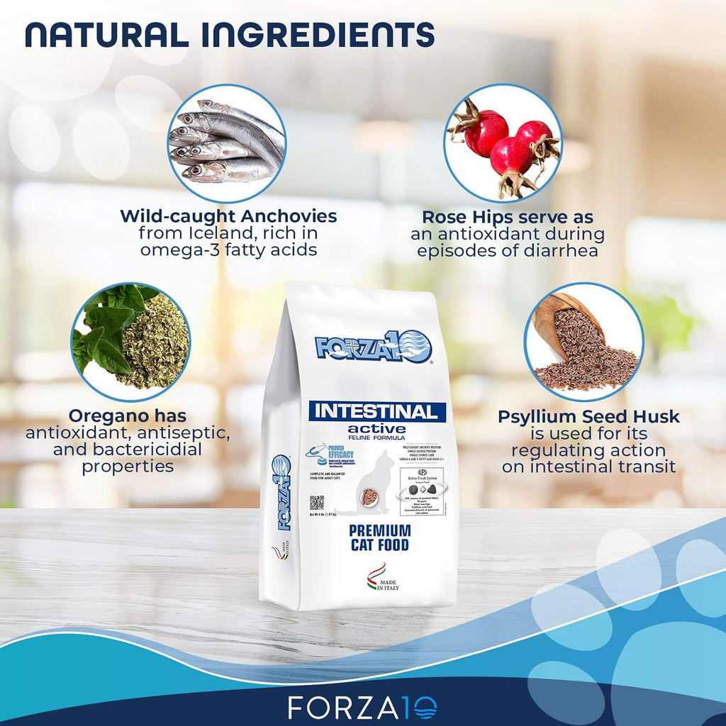 Forza10 Active Intestinal Support Diet Dry Cat Food for Adult Cats, Cat Food Dry for Upset Stomach, Diarrhea and Intestinal Disorders, Wild Caught Anchovy Flavor, 4 Pound Bag