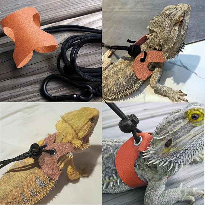 Small Animal Portable Backpack Carrier - Image 5