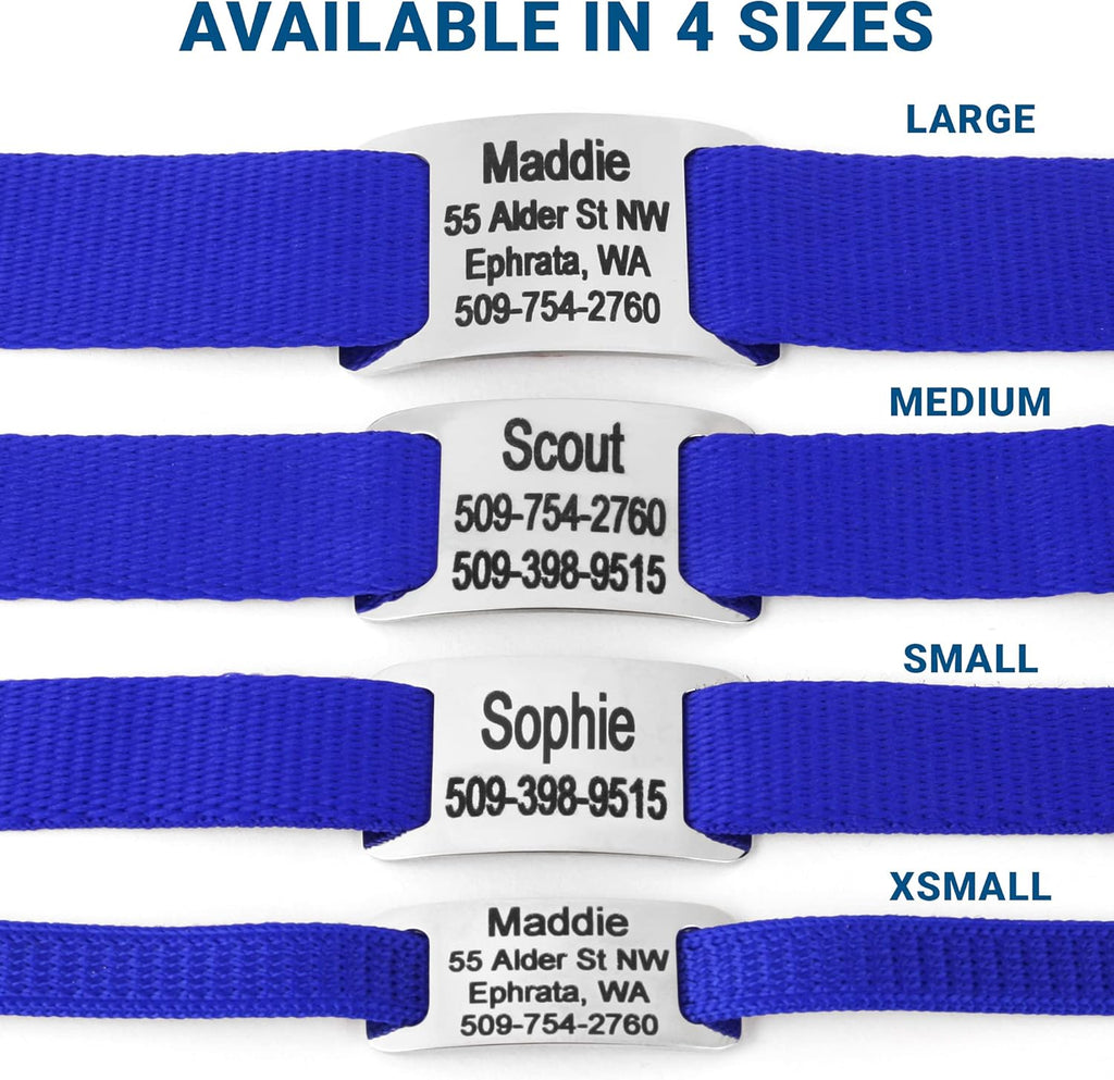 GoTags Personalized Dog Collar with Nameplate, Adjustable Dog Collar with Custom Engraved Slide On Pet ID Tag in Stainless Steel, Silent, No Noise Dog Tag for Large Medium and Small (Blue, X-Small)