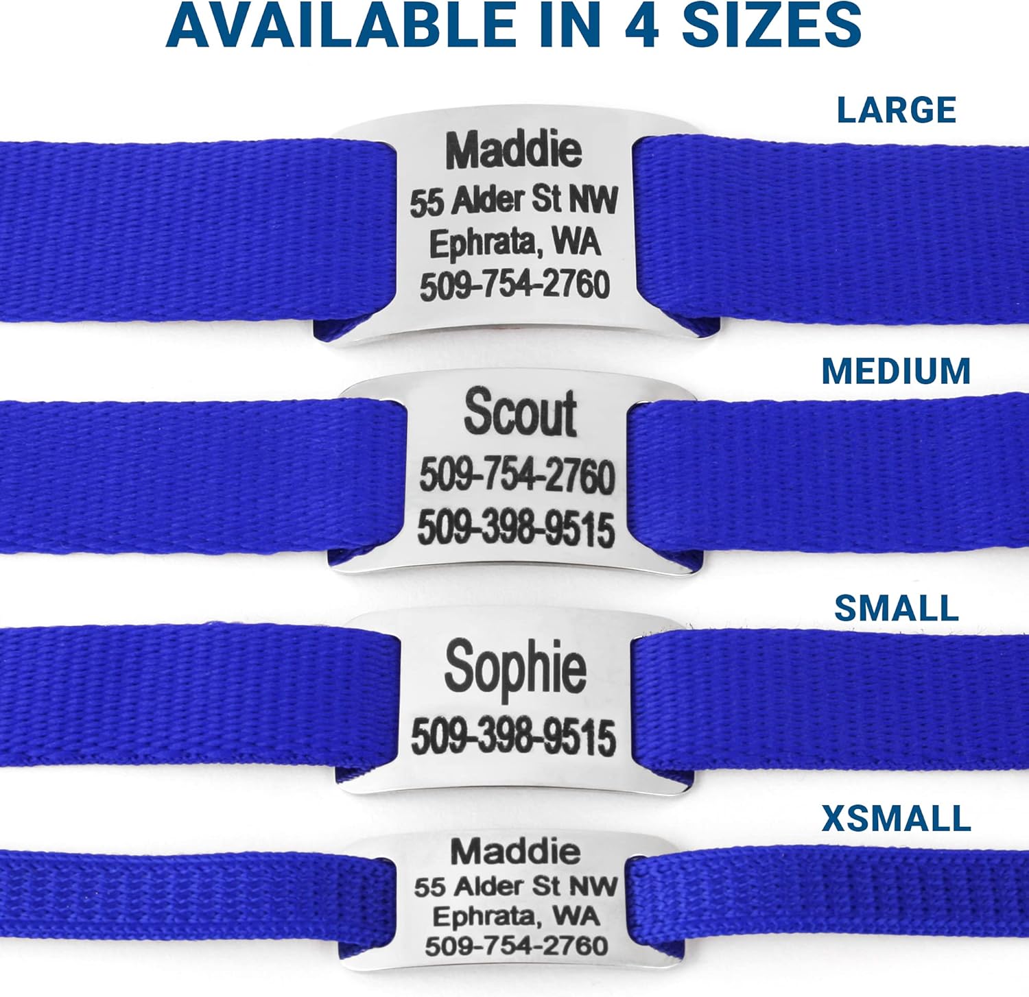 GoTags Personalized Dog Collar with Nameplate, Adjustable Dog Collar with Custom Engraved Slide On Pet ID Tag in Stainless Steel, Silent, No Noise Dog Tag for Large Medium and Small (Blue, X-Small)