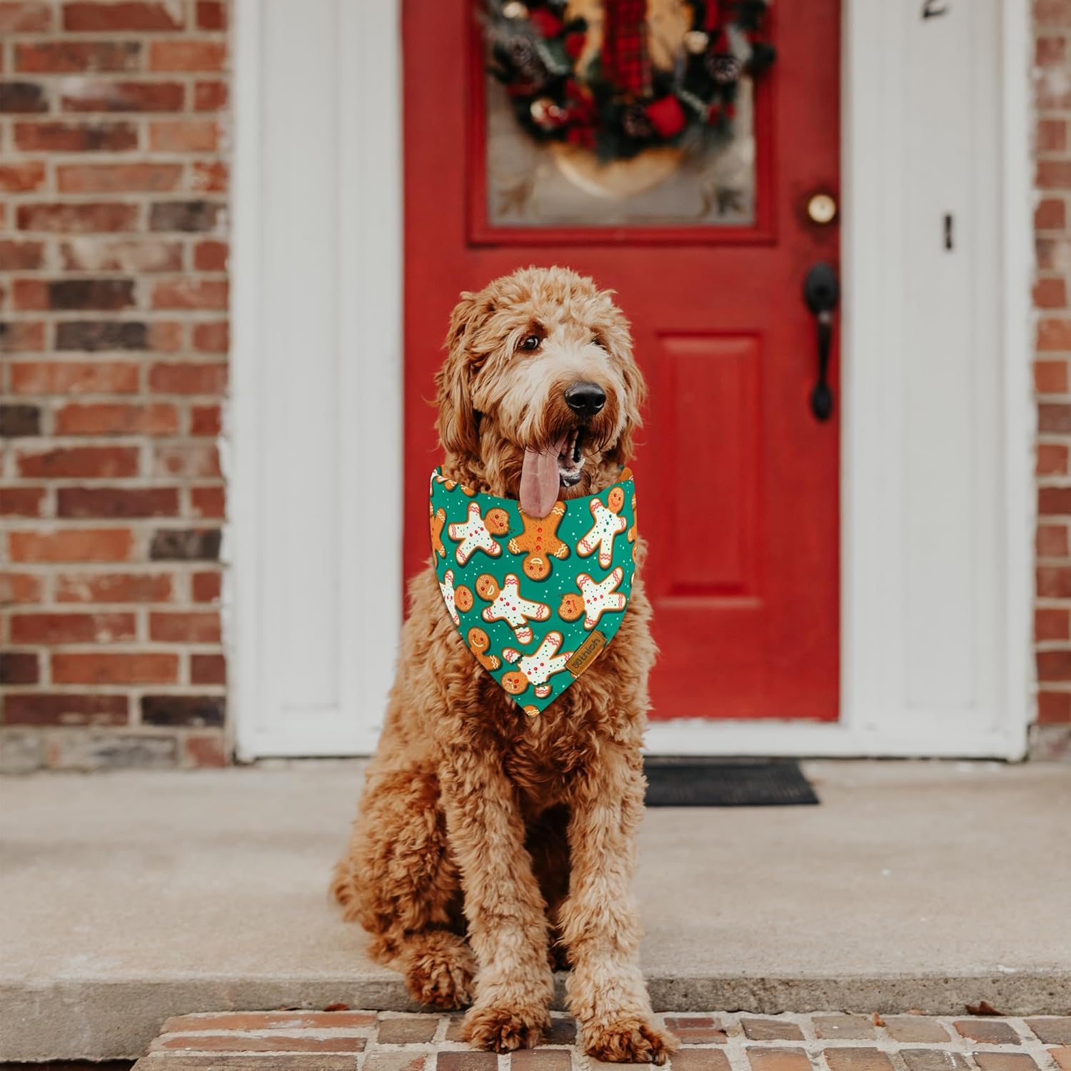 Christmas Dog Bandanas - 2 Pack Reversible Gingerbread Man Dog Scarf for Boy & Girl, Premium Durable Fabric, Festival Dog Bib, Holiday Bandana for Small and Medium Dogs (Small)