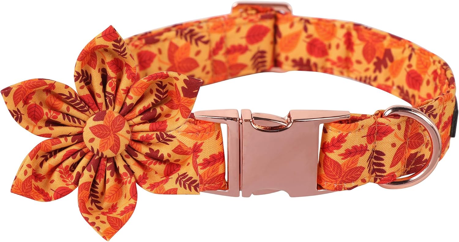 Lionet Paws Dog Collar with Flower - Cute Cotton Adjustable Flower Dog Cat Collar with Metal Buckle for Puppy Girl Gift, XS, Neck 8-12in