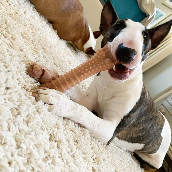 Nylabone Textured Knuckle Bone Power Chew Toy - Image 3