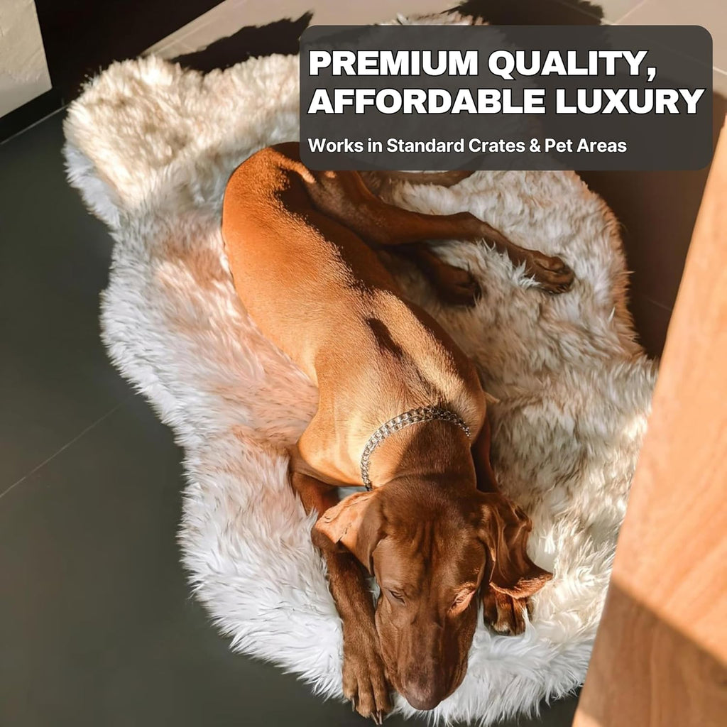 IHAPPYDOG Luxury Faux Fur Orthopedic Dog Bed, Memory Foam Dog Bed for Small, Medium, Large and XL Pets, Fluffy Pet Bed with Waterproof and Washable Cover (White w/Brown Tips, 50"x30")