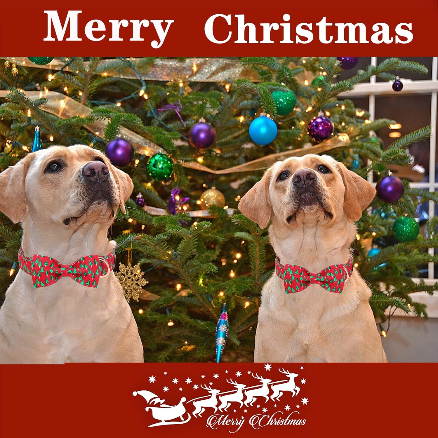 Unique style paws Christmas Dog Collar with Bow Best Winter for Small Medium Large Dogs -Christmas Tree-M