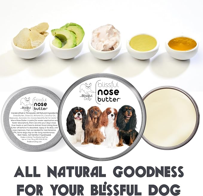 The Blissful Dog All 4 Cavalier King Charles Spaniel Unscented Nose Butter - Image 2