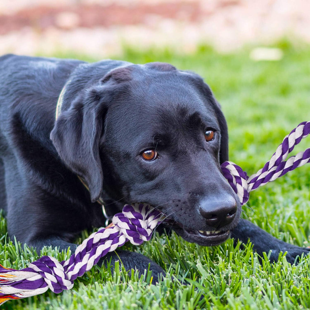Large Tough Chew Toys for Aggressive Chewers Large Breed,Heavy Duty Dental Rope Toys Kit for Medium Dogs,5 Knots Indestructible Cotton Puppy Teething Chew Tug Toy Set of 9