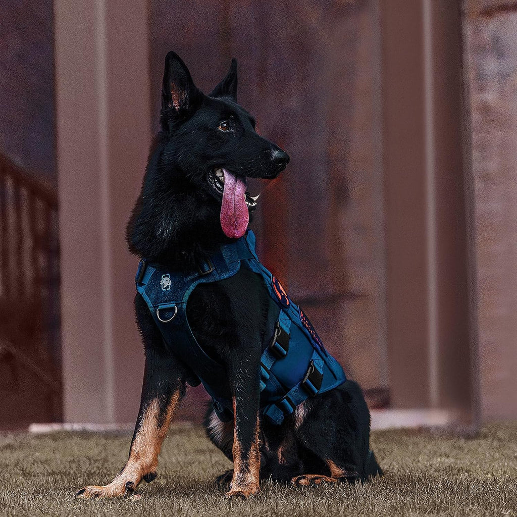 OneTigris Tactical Dog Harness for Small Dogs with Handles, Mesh Design Service Dog Vest Breathable Military Dogs Molle Vests with Handles, Harness for Walking Hiking Training (Blue, XS)