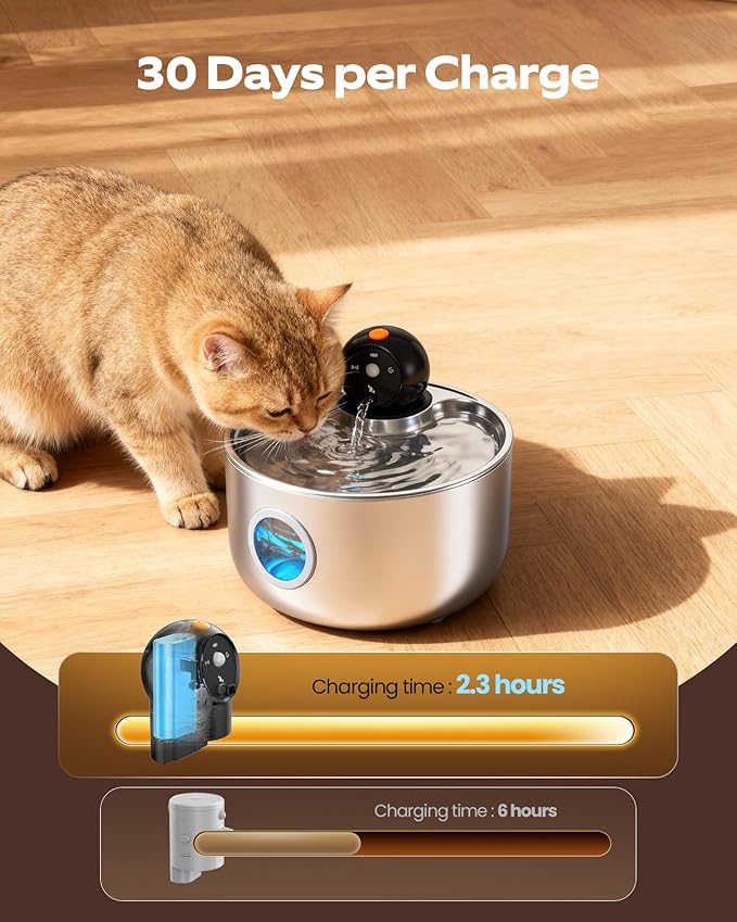 Wireless Cat Water Fountain Cordless: Stainless Steel Cat Fountains - Image 3