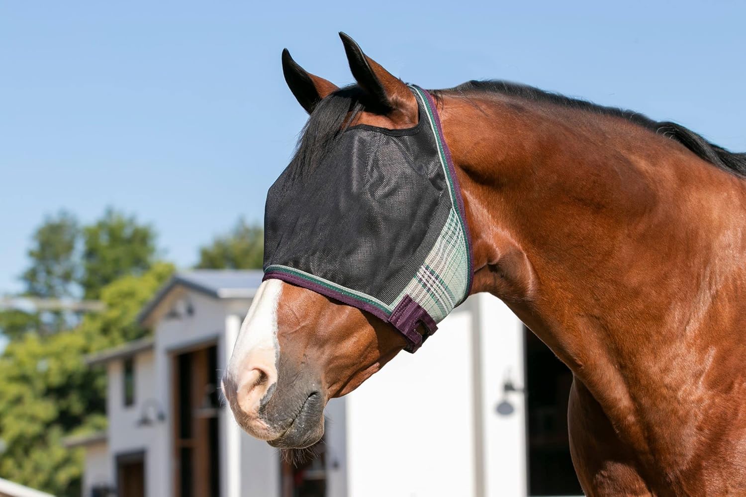 Kensington UViator CatchMask Horse Fly Mask with Web Trim UV Eye Protection Mask for Horse - Medium, Imperial Jade
