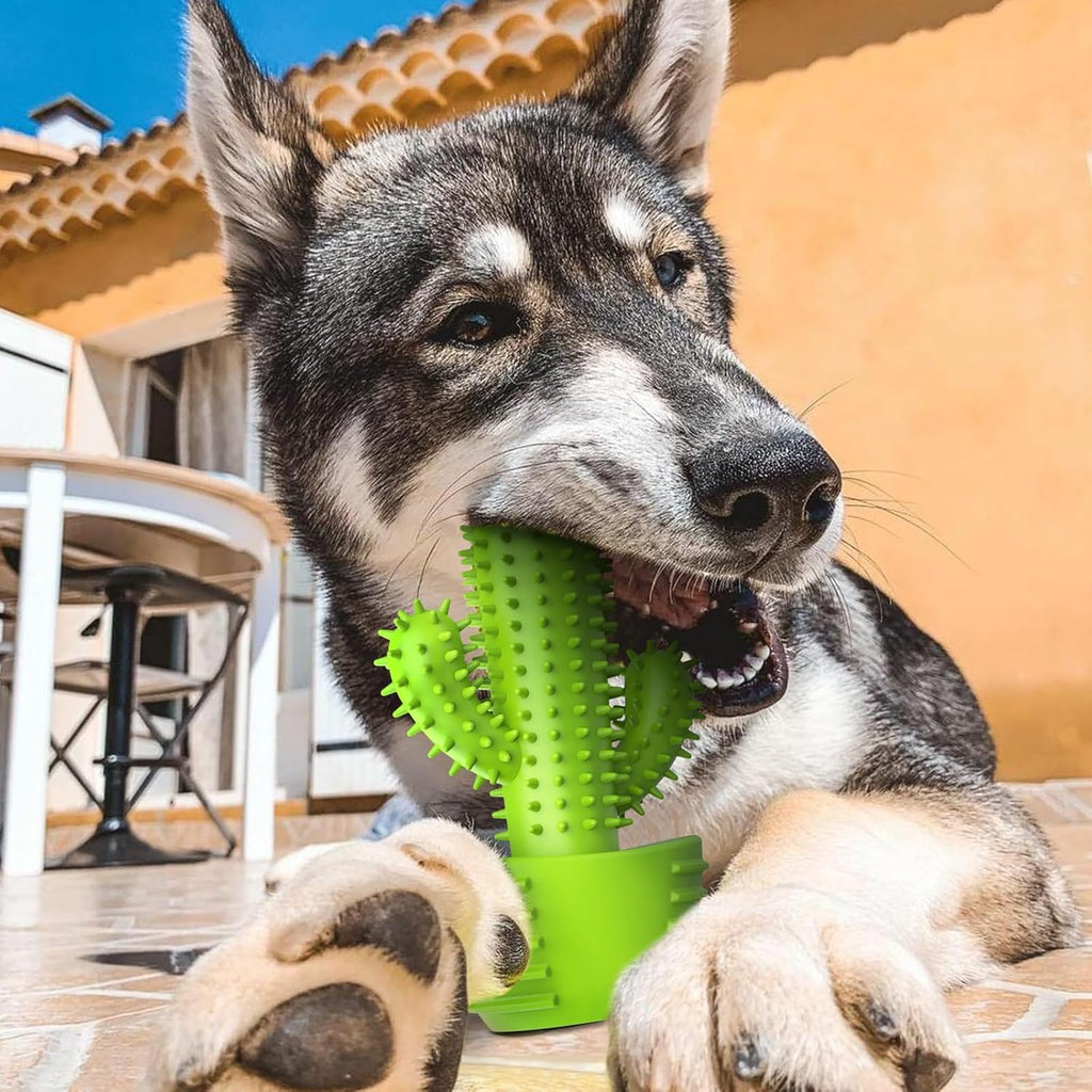 Dog Chew Toys, Toothbrush Stick Teeth Cleaning Brush Dental for Small Medium Large Dog, Rubber Squeaky Toys for Aggressive Chewers Cactus Tough Toys