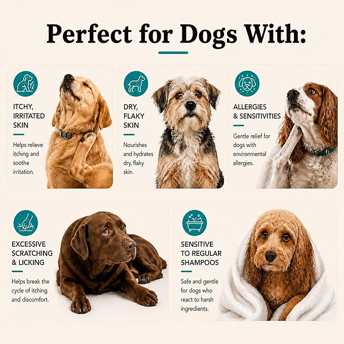 Natural Dog Company Sensitive Skin Dog Shampoo Gallon – Hypoallergenic Oatmeal - Image 6