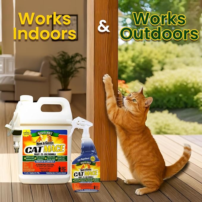 Nature's Mace Cat Mace Cat Repellent, Pets Training Tool, Outdoor & Indoor - Image 4
