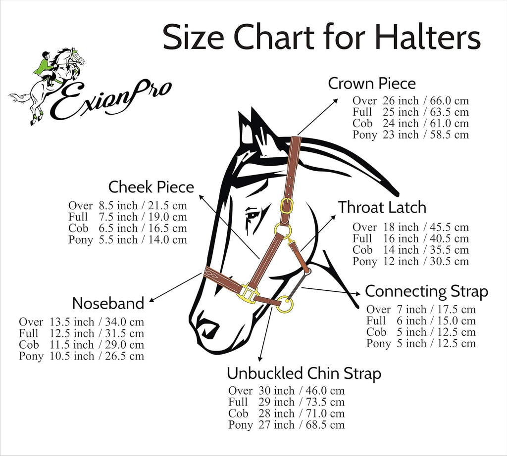 Exion Leather Horse Halter with Fancy Stitching | Black & Brown Padded Halter with Brass Hardware | Quick-Release Snap | Adjustable Leather Halter – Cob, Full, Over, Pony Sizes