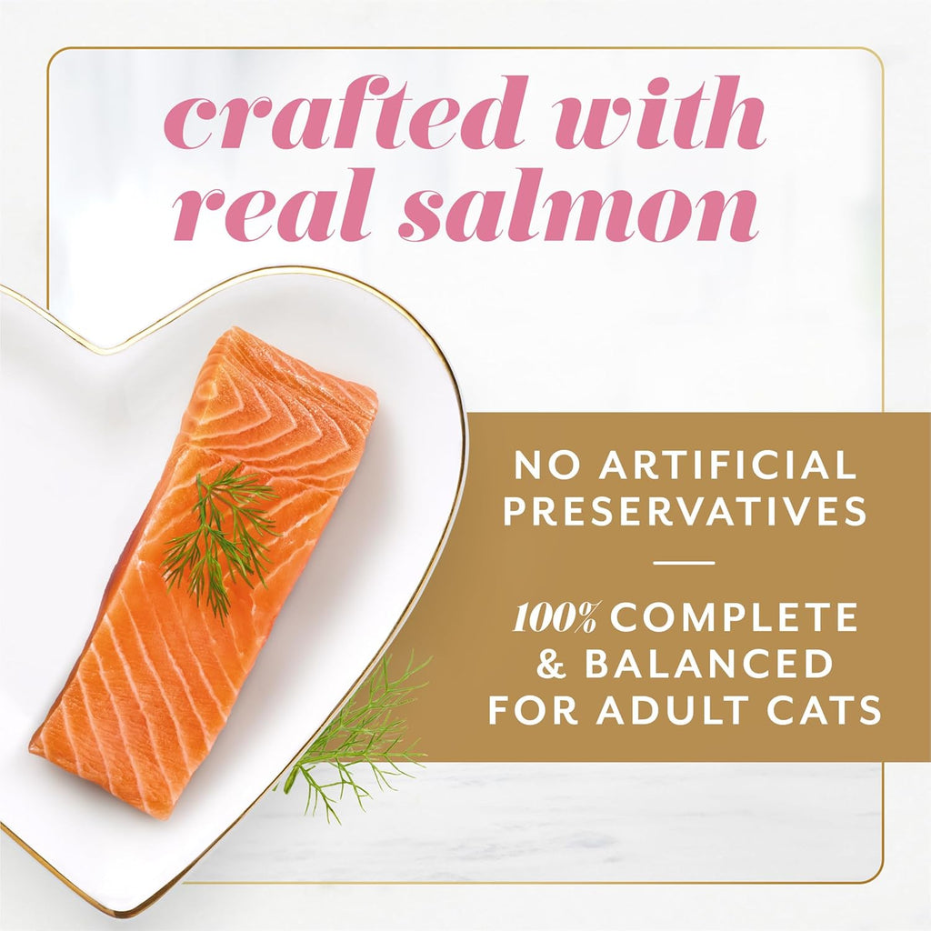 Fancy Feast Gems Pate Cat Food Mousse With Salmon and a Halo of Savory Gravy Cat Food - (Pack of 8) 4 oz. Boxes