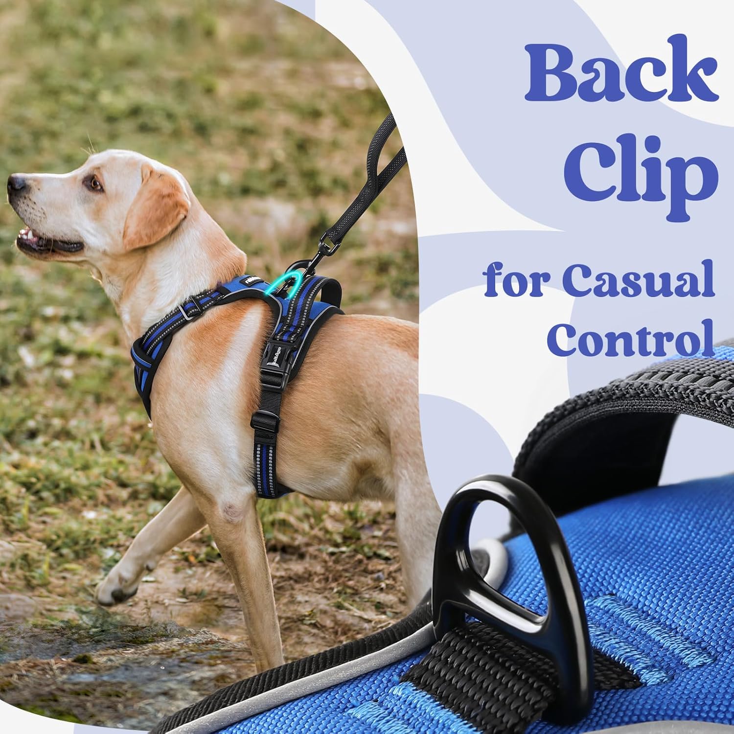 rabbitgoo Dog Harness Small Sized, No Pull Pet Harness with 3 Buckles, Adjustable Soft Padded Vest with Control Handle, Walking Reflective Pet Vest for Small Dogs, Blue, S