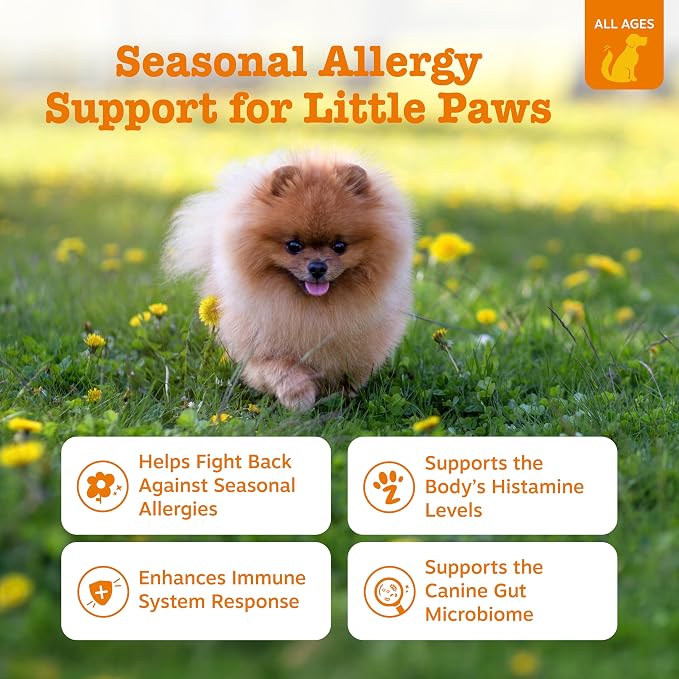 Zesty Paws Allergy Immune Bites - Image 2