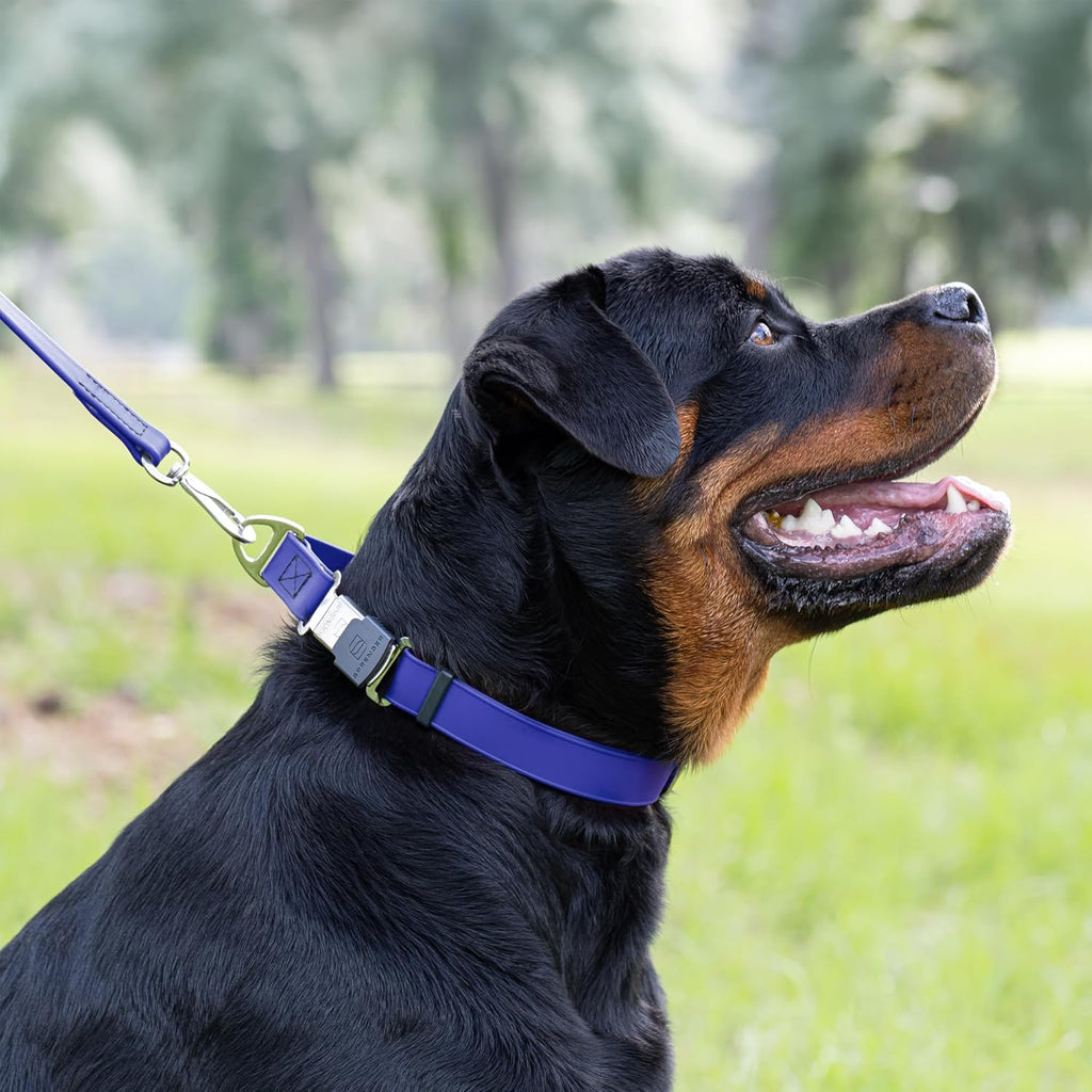 Dogline Biothane Waterproof Dog Collar with Herm Sprenger Black Stainless Steel Quick Release Buckle – Heavy Duty Tactical Durable Collar for Dogs – Comfortable and Safe Pet Collar, W 1" L 15-25"
