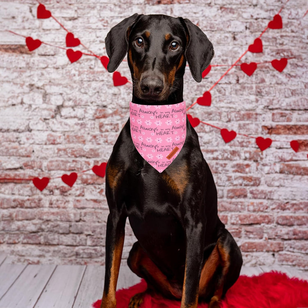ADOGGYGO Valentine Dog Bandanas, Heart Love Floral Pet Scarf, Multi Size Offered, Pink Blue Pet Valentine Bandana for Medium Large Dogs (Large)