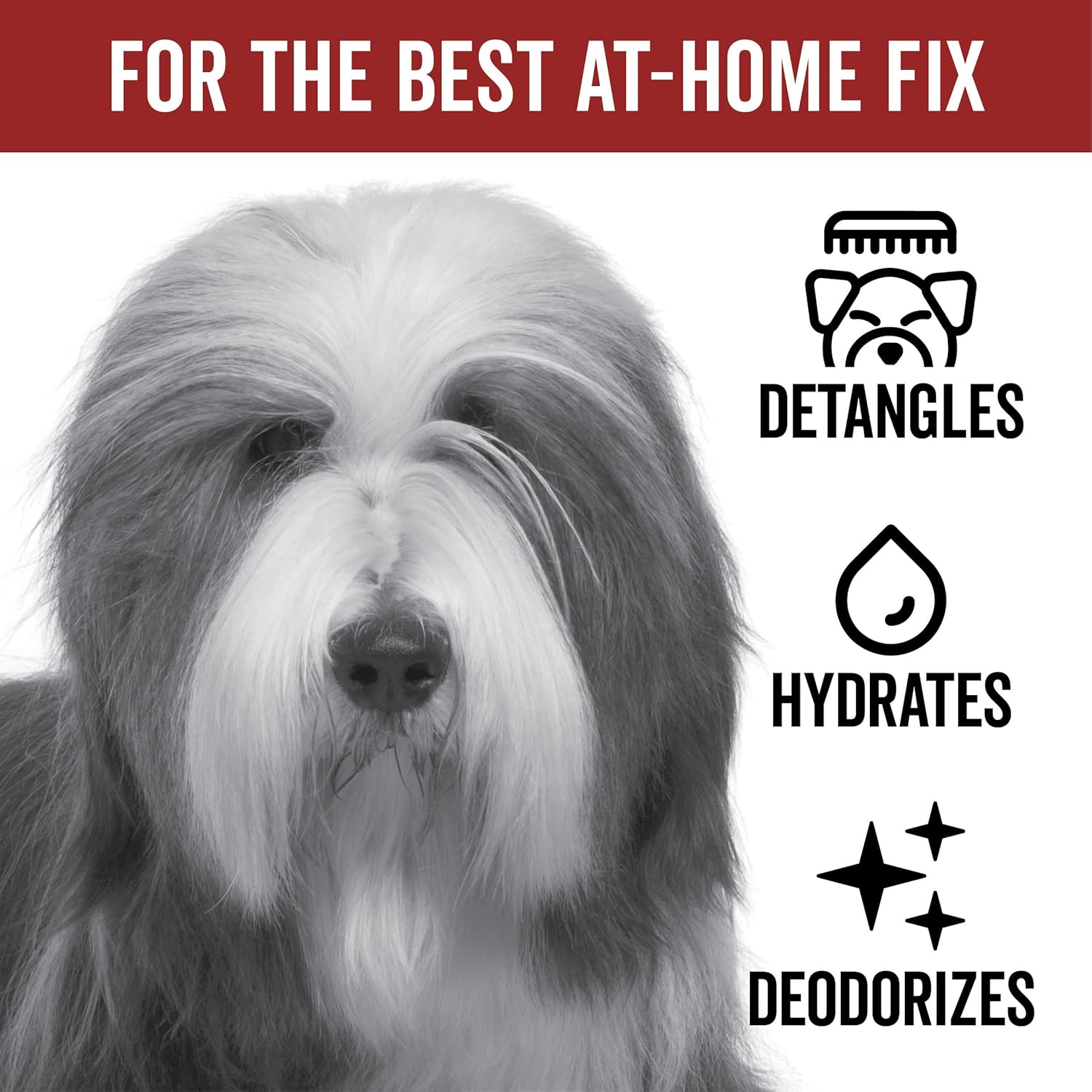 Pride and Groom DogDays Detangling Coat Spray for All Dogs | Conditioner & Detangler Spray for Shiny, Tangle-Free Fur | Hydrating & Repairing Formula with Fresh Scent | Made in USA – 16 fl oz