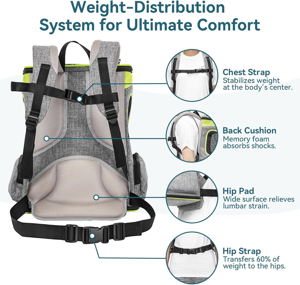 Petsfit Pet Backpack Carrier Easy-Fit Dog Travel Backpack Carrier for Hiking Walking Cycling Suitable for Small Medium Dogs Cats and Rabbits up to 22 Pounds, Green