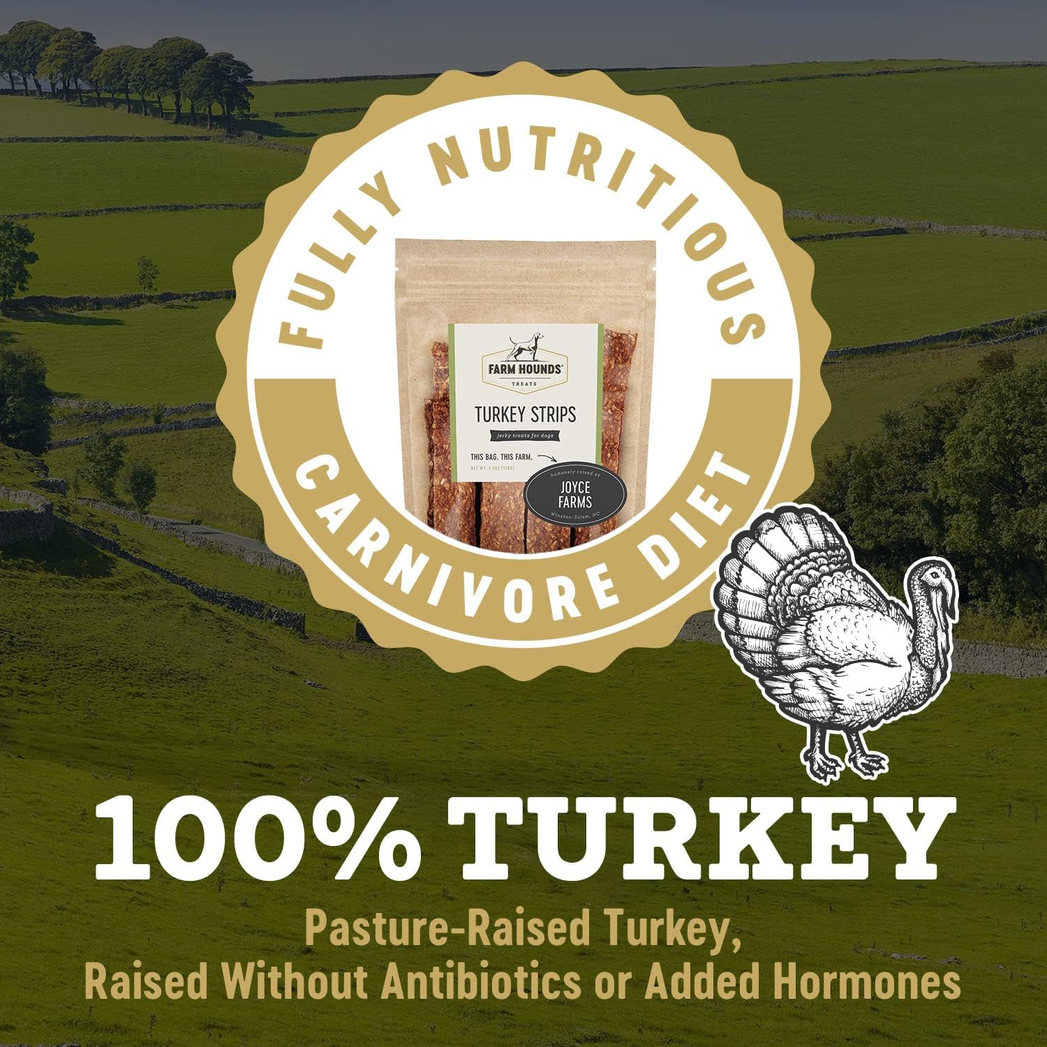 Farm Hounds - Turkey Strips - Premium Natural Jerky for Dogs - 100% Humanely Raised Turkey - Break-to-Size - Great for Training & Treats - No Added Fillers - Made in USA - 1 Pack