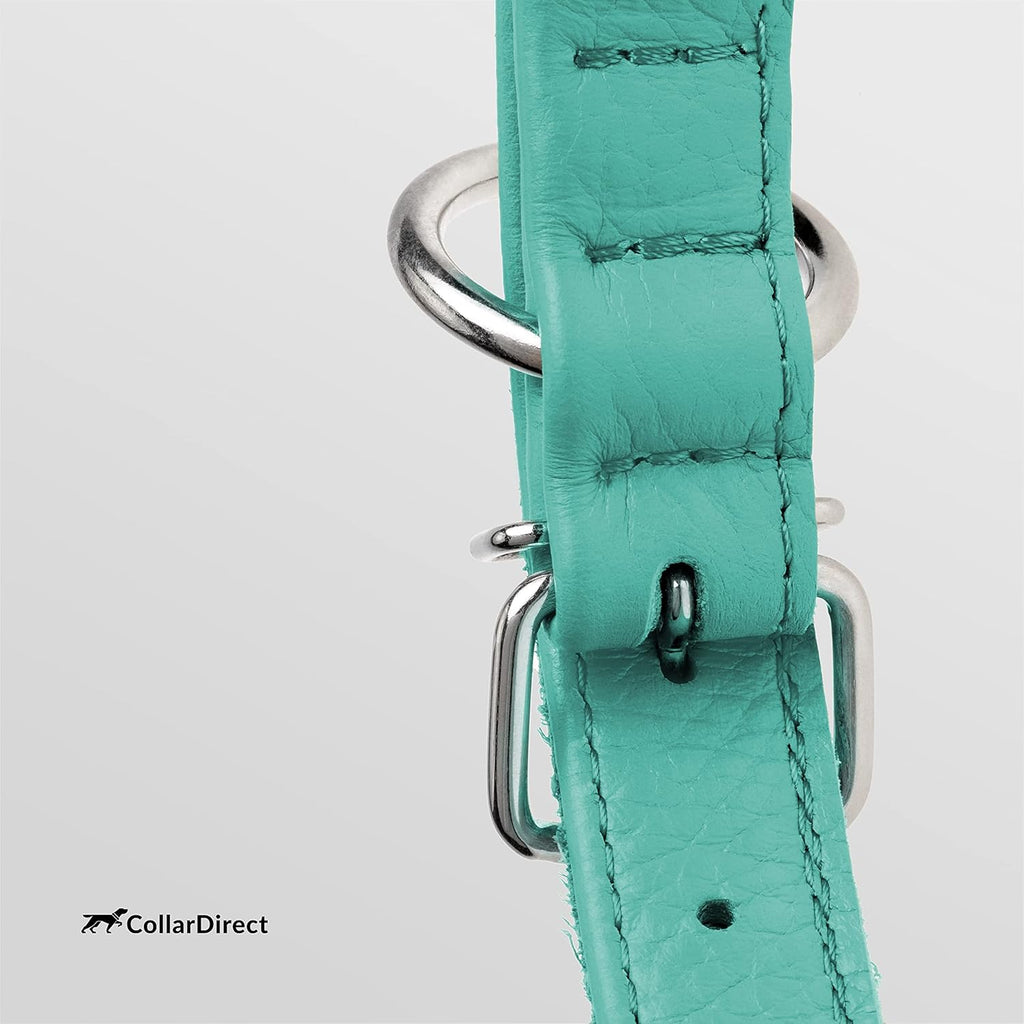 CollarDirect Rolled Leather Dog Collar, Soft Padded Round Puppy Collar, Handmade Genuine Leather Collar Dog Small Large Cat Collars 13 Colors (11-14 Inch, Mint Green Textured)