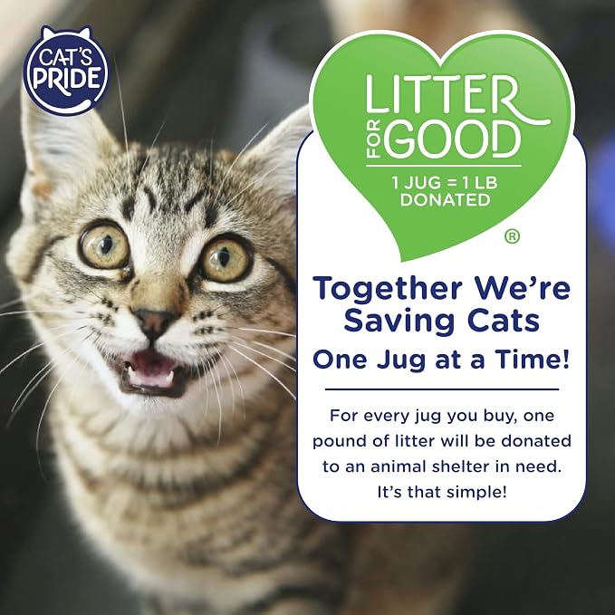Cat's Pride Max Power: Bacterial Odor Control - Image 9