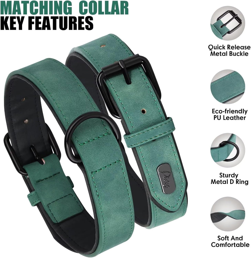 Didog Soft Padded Leather Dog Collar and Leash Set, Adjustable Dog Lead and Collar Set with Metal Buckle, Breathable Pet Collars with 4FT PU Leather Leash for Small Medium Dogs, Green, M