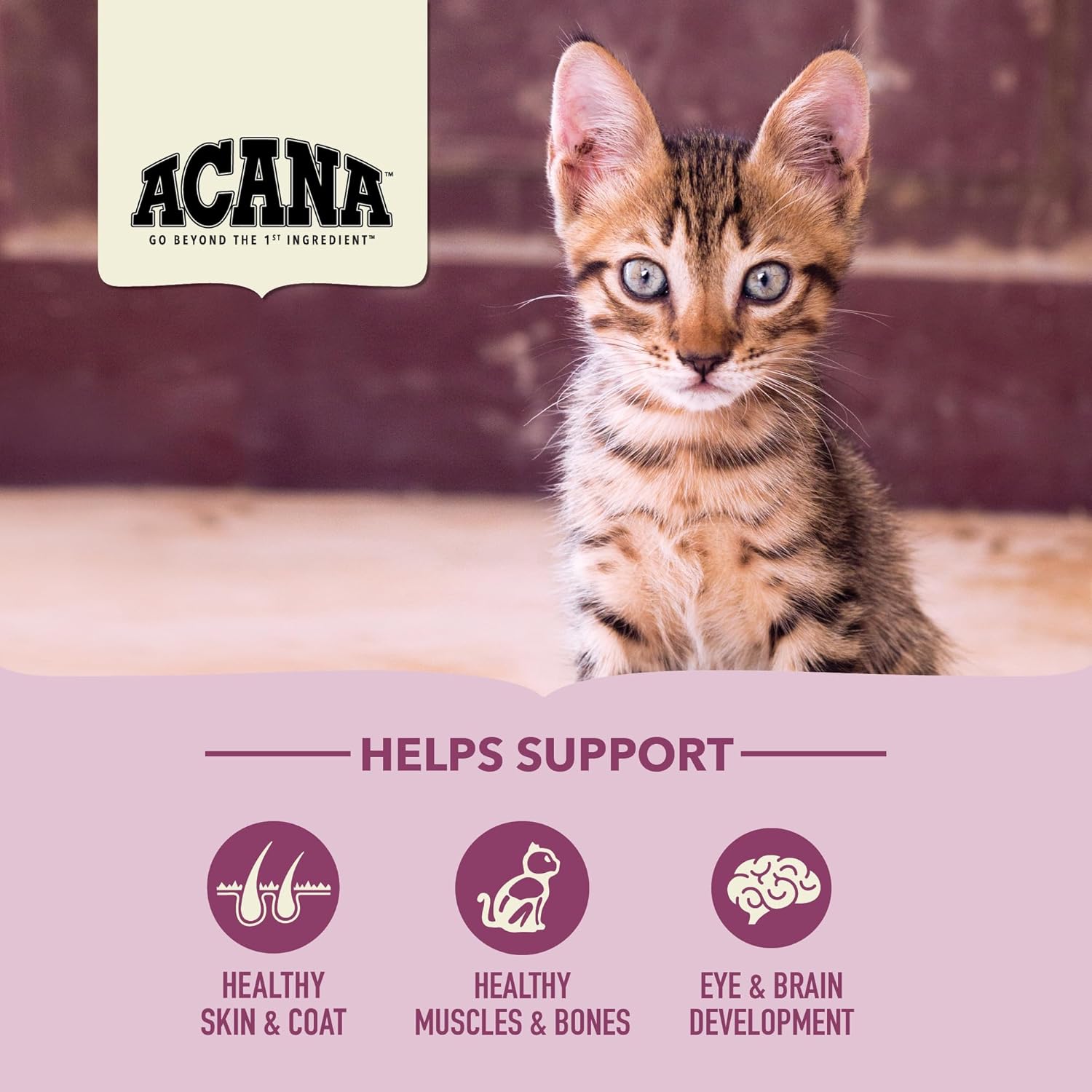 ACANA Dry Cat Food for Kittens First Feast Chicken and Fish 7lb Bag