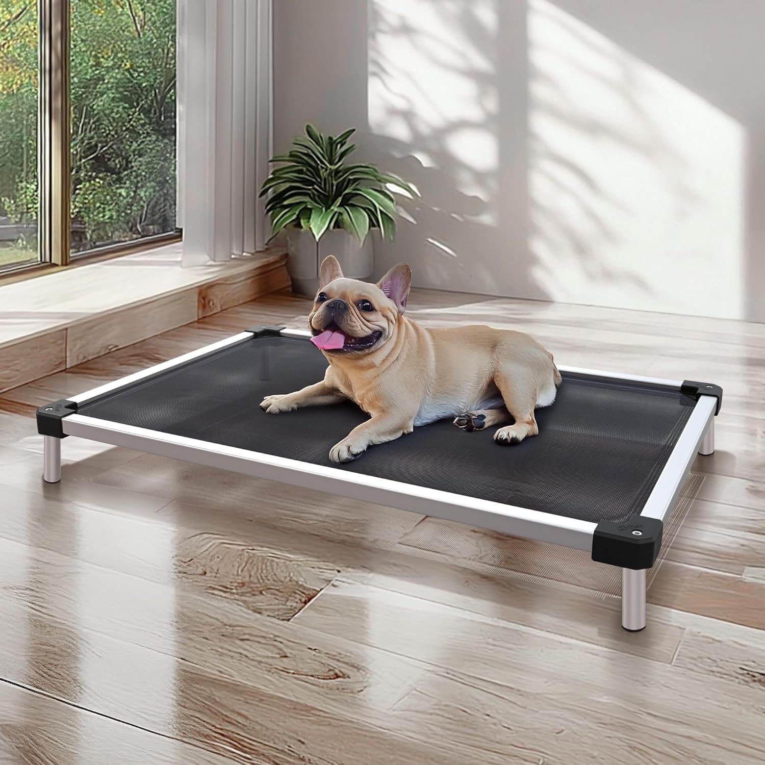 FXW TitanNest Chew-Proof Elevated Dog Bed, Raised Cot for Indoor/Outdoor/Camping Use, Durable & Waterproof Cooling Pet Bed for Small Dogs, 35.0" L x 22.0" W x 4.5" H, Black