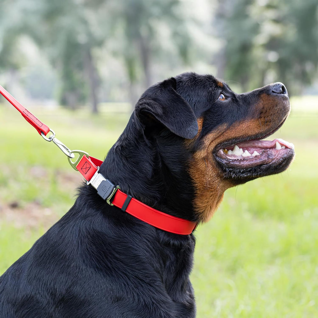 Dogline Biothane Waterproof Dog Collar with Herm Sprenger Black Stainless Steel Quick Release Buckle – Heavy Duty Tactical Durable Collar for Dogs – Comfortable and Safe Pet Collar W 3/4" L 12-19" Red