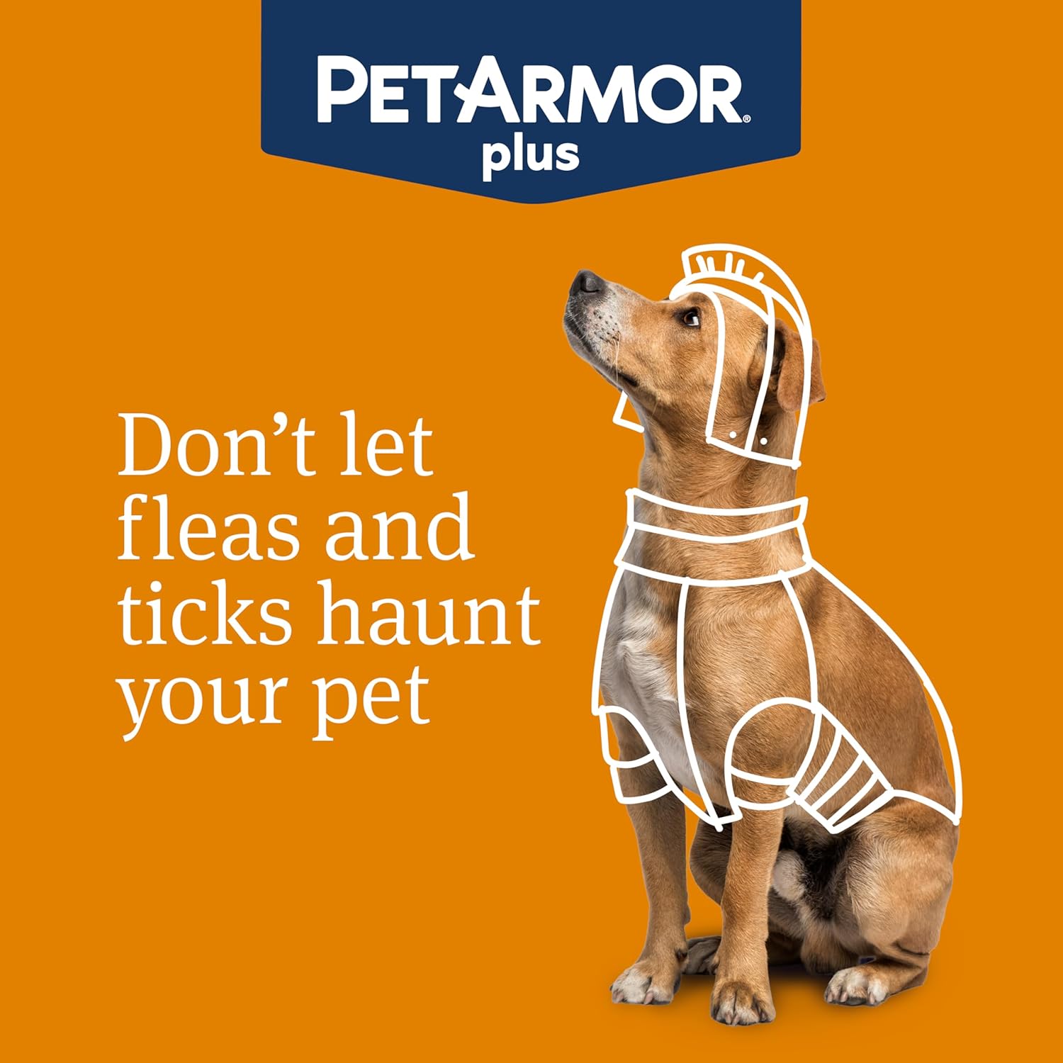 PetArmor Plus Flea and Tick Prevention for Dogs, Large Dog Flea and Tick Treatment, 12 Doses, Waterproof Topical, Fast Acting (45-88 lbs)