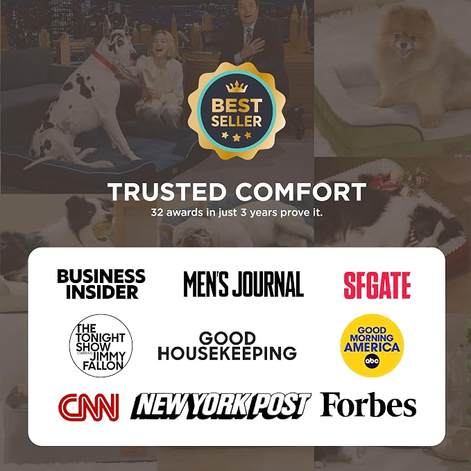 Bedsure Small Orthopedic Dog Bed - Image 2